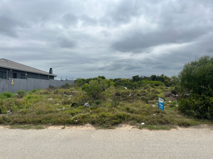 0 Bedroom Property for Sale in Bluewater Bay Eastern Cape